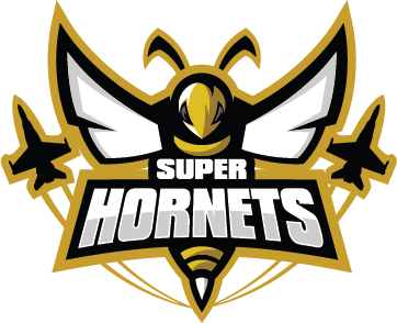 Super Hornets